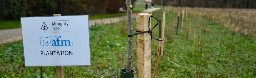 Un engagement durable : un arbre planté pour chaque installation de panneaux photovoltaïques